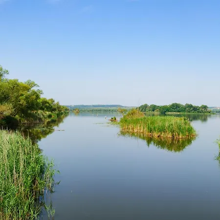In 49194 בית נופש Balatonberény